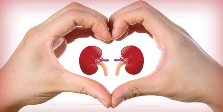 food-for-the-kidneys
