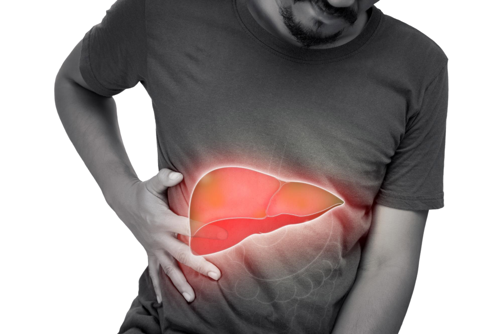 fatty liver