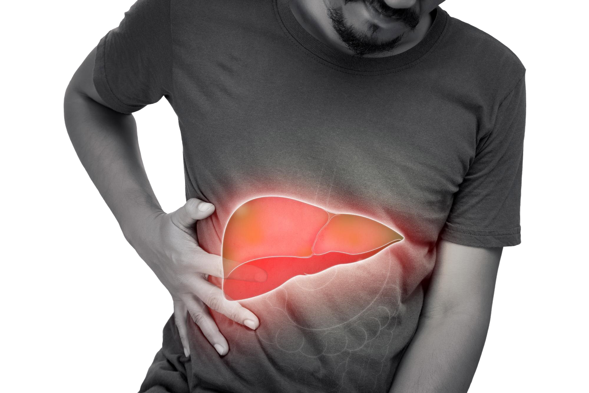 fatty liver